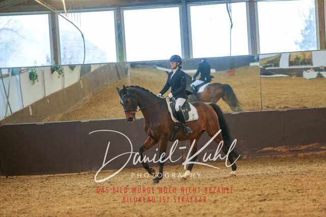 IMG_7702 | Turniersportfotografie; Pferdefotografie; Dressurfotografie