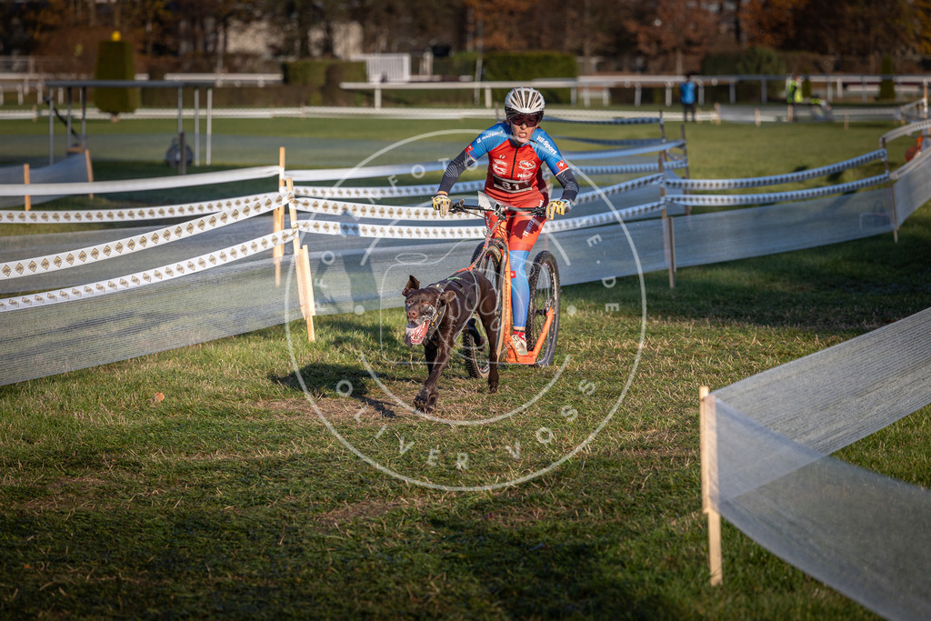 CaniXpix_0L8A3681 | Hundefotografie, Tierfotograf, Pfotenfotografie, Fotoshooting Hund, Hunde Portrait, Hundesport, Hundeportraits, Heideshooting, Hunde, Sportfotograf, Hundefotograf, Turnierhundsport, THS,  - Realisiert mit Pictrs.com