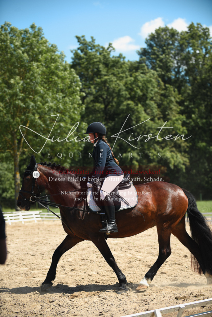 DSC_2185 | Pferde- und Turnierfotografie in Westsachsen. Pferdeportraits, Auftragszeichnungen und intuitive Kunst.