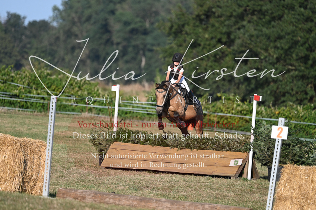 DSC_9183 | Pferde- und Turnierfotografie in Westsachsen. Pferdeportraits, Auftragszeichnungen und intuitive Kunst.