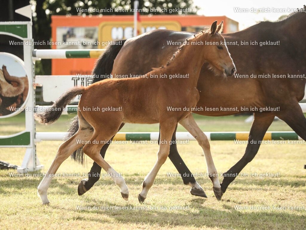 598A3127 | photographylinaismer - Realisiert mit Pictrs.com