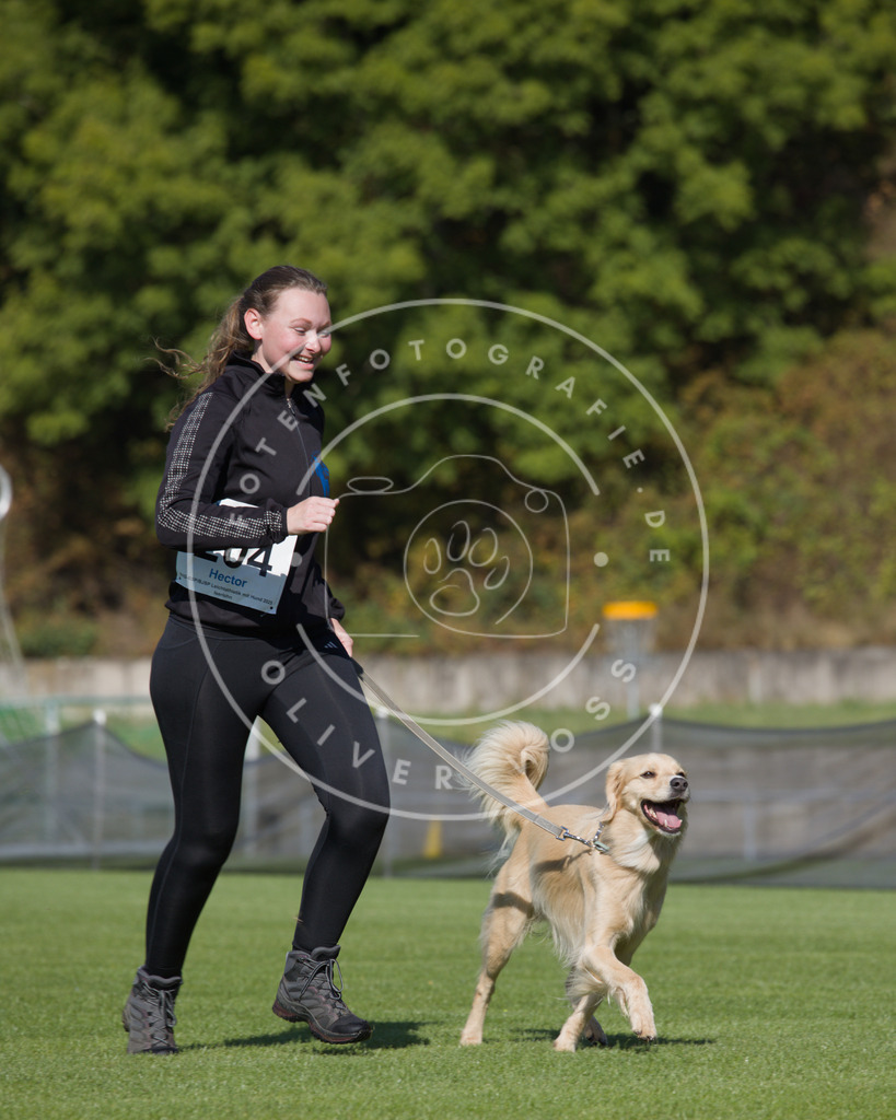 0L8A2350 | Hundefotografie, Tierfotograf, Pfotenfotografie, Fotoshooting Hund, Hunde Portrait, Hundesport, Hundeportraits, Heideshooting, Hunde, Sportfotograf, Hundefotograf, Turnierhundsport, THS,  - Realisiert mit Pictrs.com