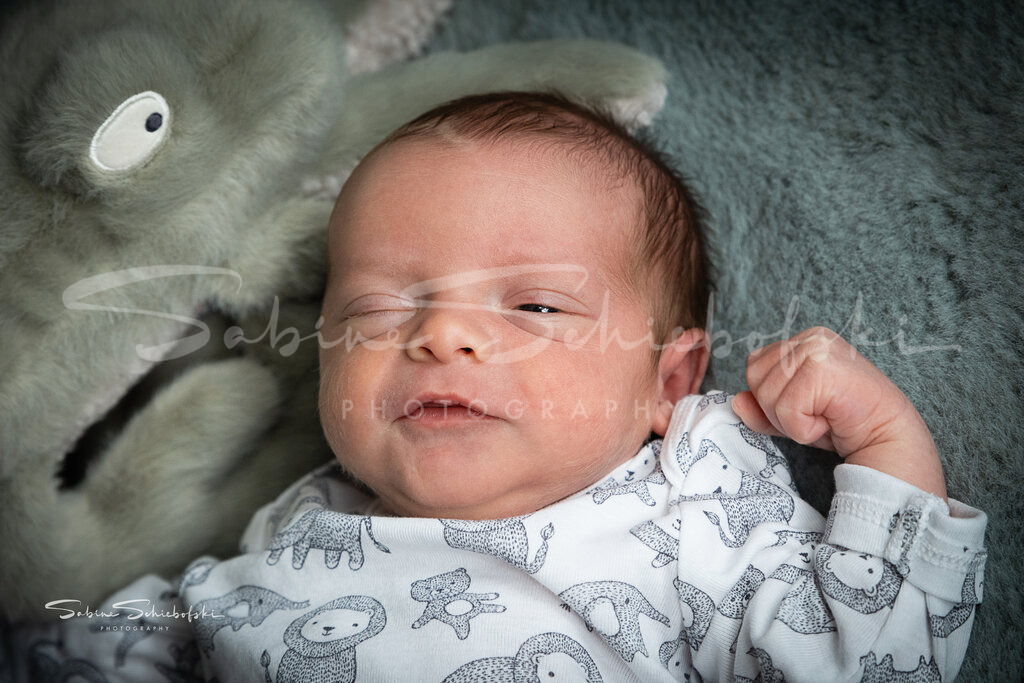 Lian | People- und Tierfotografie, Imageaufnahmen, Veranstaltungsfotografie und Wandbilder aus der Natur ★ Made in Germany ✔️ Druck + Downloads ✔️ Naturfotografie in Top Qualität ★ schneller Versand, weltweite Lieferung! - Realisiert mit Pictrs.com