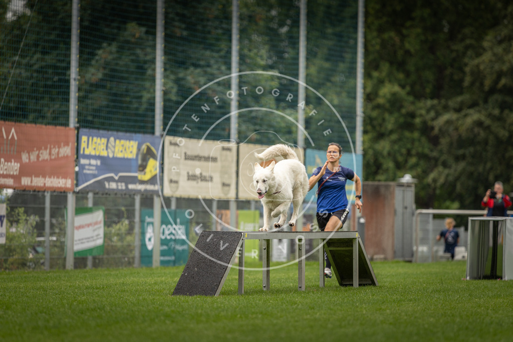 Pfotenfotografie_DV3A8497 | Hundefotografie, Tierfotograf, Pfotenfotografie, Fotoshooting Hund, Hunde Portrait, Hundesport, Hundeportraits, Heideshooting, Hunde, Sportfotograf, Hundefotograf, Turnierhundsport, THS,  - Realisiert mit Pictrs.com