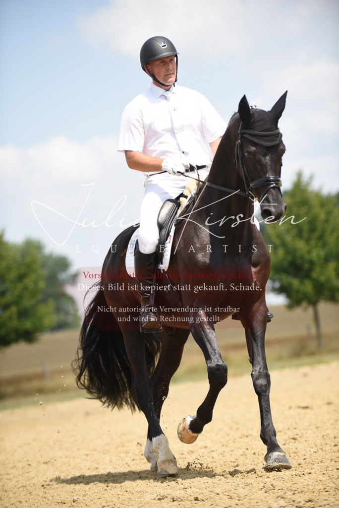 DSC_4293 | Pferde- und Turnierfotografie in Westsachsen. Pferdeportraits, Auftragszeichnungen und intuitive Kunst.