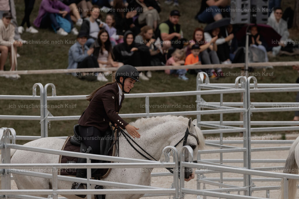 WE__Stoib_Rinder_PI2025_3191 | Pferd International München 2025