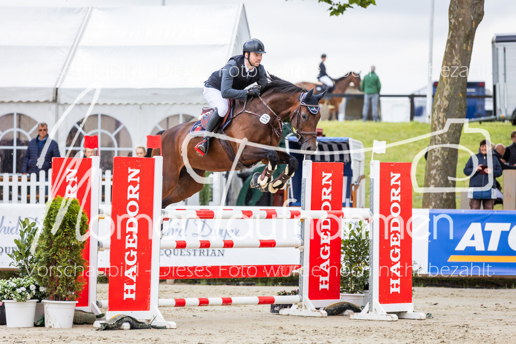 BHO-2PhSpr-M-5-2139 | MomenTaufnahmen Pferdesportfotos