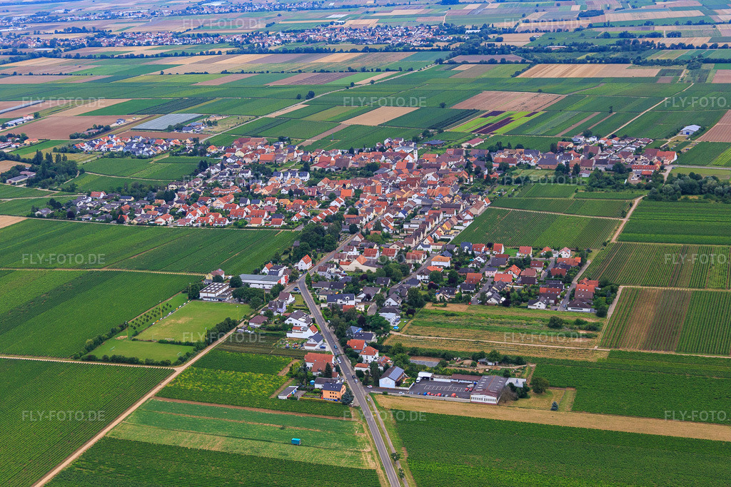 Luftbild: Bahnhofstr in Gönnheim im Bundesland Rheinland-Pfalz in Deutschland. Foto: IMG_092143.jpg vom 16.07.2016 durch Werner Riehm/FLY-FOTO.de