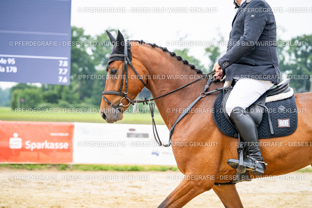 DSC09756 | Pferdegrafie