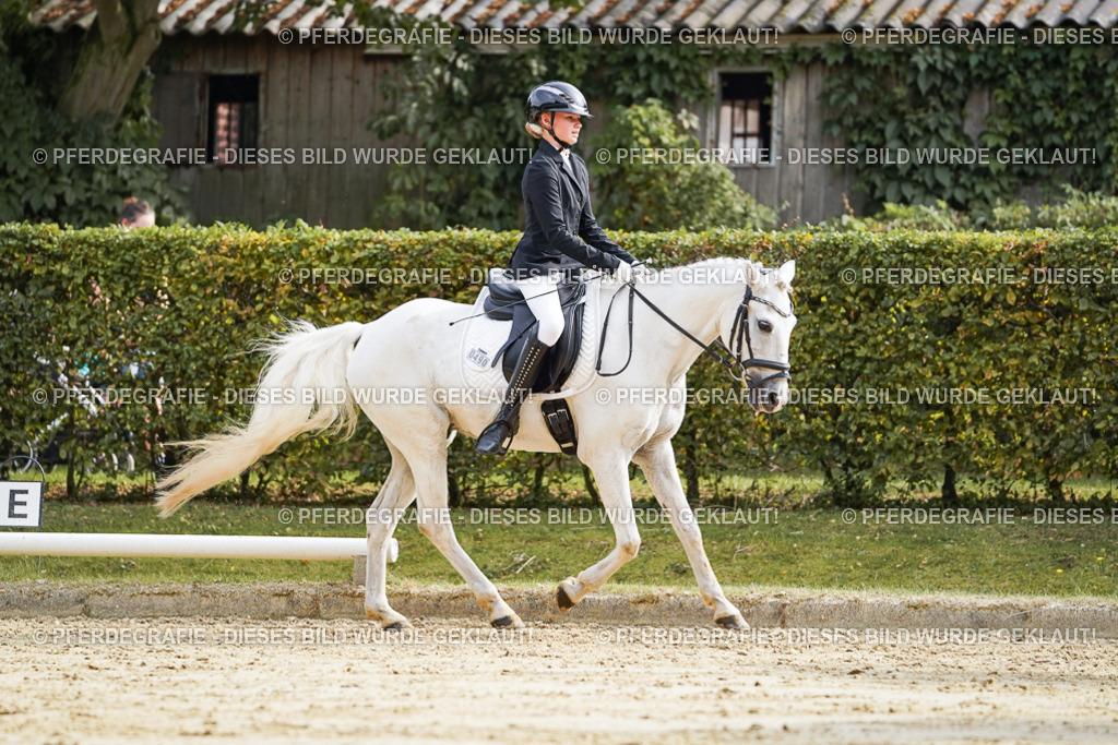 DSC04650 | Pferdegrafie