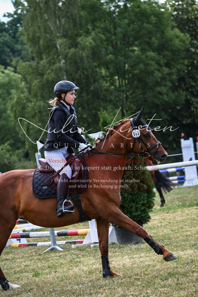 DSC_8196 | Pferde- und Turnierfotografie in Westsachsen. Pferdeportraits, Auftragszeichnungen und intuitive Kunst.