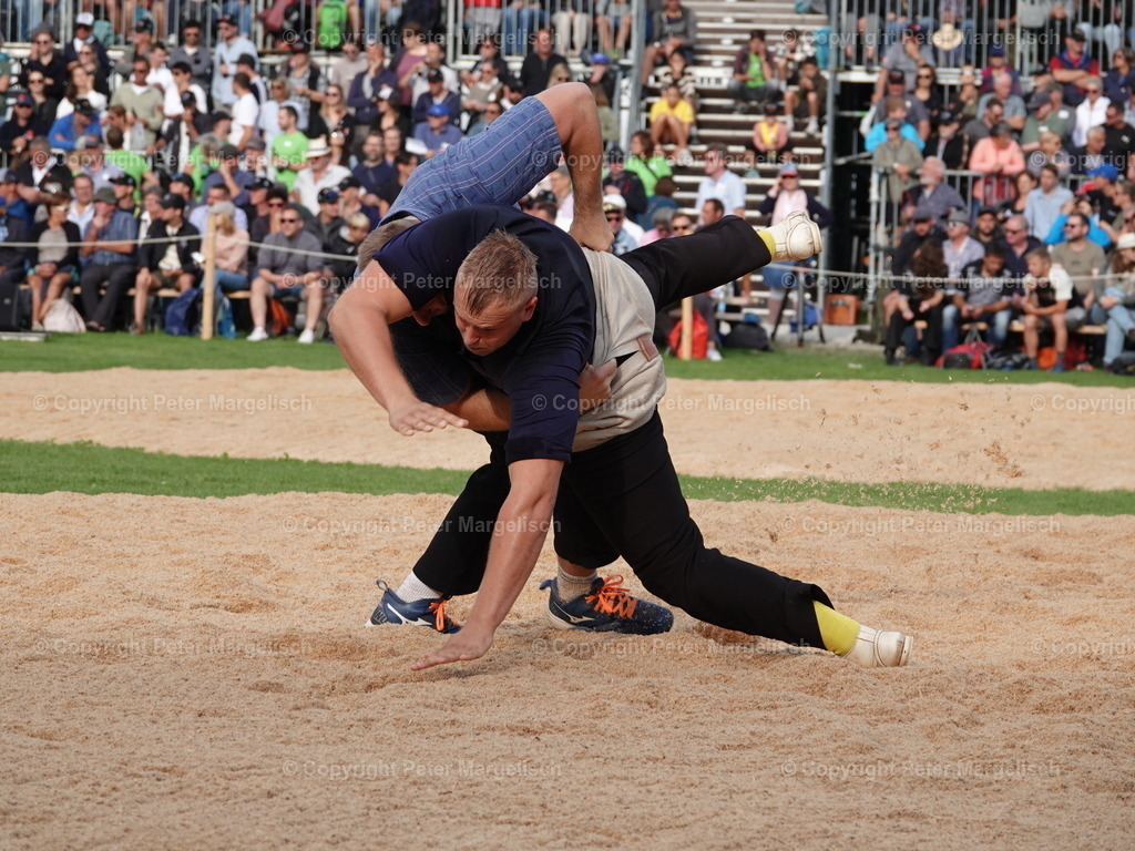 DSC08343 | Schwingen - Realized with Pictrs.com