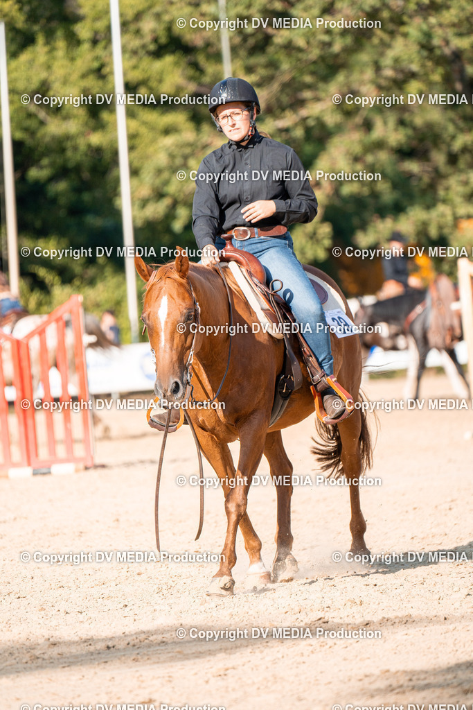 ZH100833 | dv-media-shop - Realisiert mit Pictrs.com