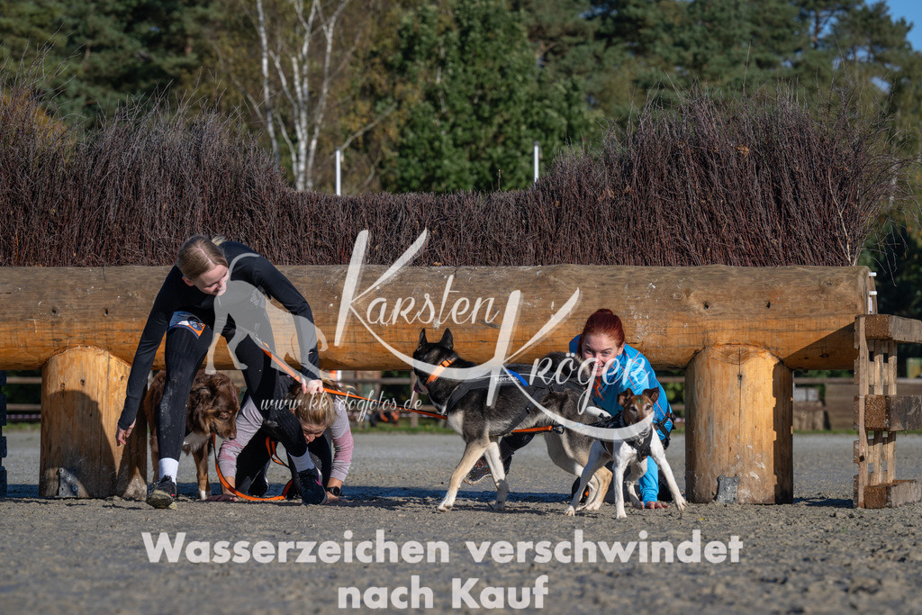 1036-_ZZ91832 | kk-dogfotos