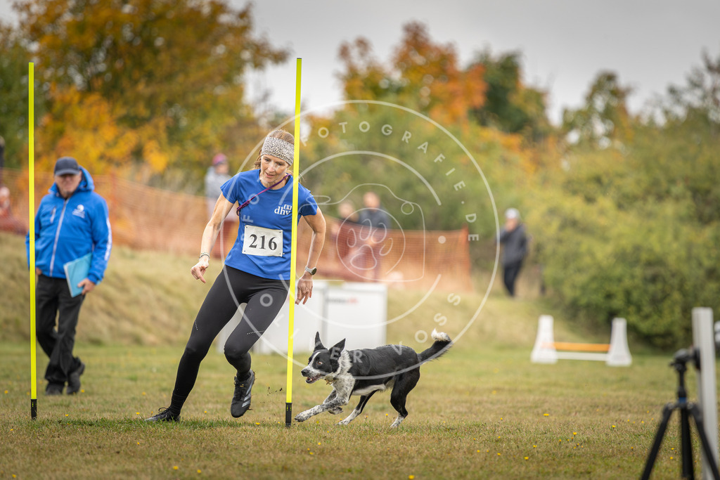 Pfotenfotografie_DV3A3520 | Hundefotografie, Tierfotograf, Pfotenfotografie, Fotoshooting Hund, Hunde Portrait, Hundesport, Hundeportraits, Heideshooting, Hunde, Sportfotograf, Hundefotograf, Turnierhundsport, THS,  - Realisiert mit Pictrs.com