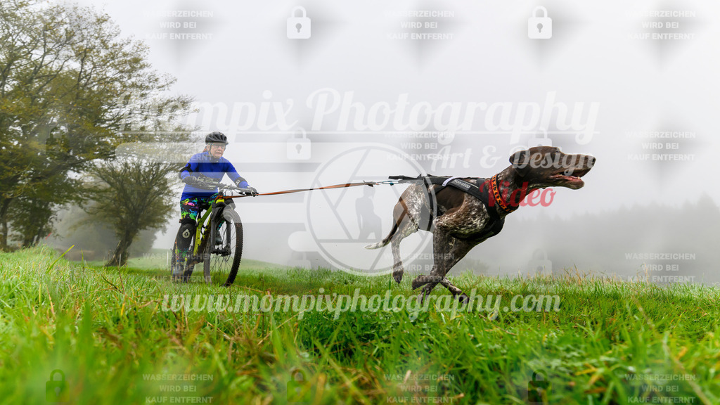 MompixPhotography_20TSB_E5_Bike-75 | PayLife