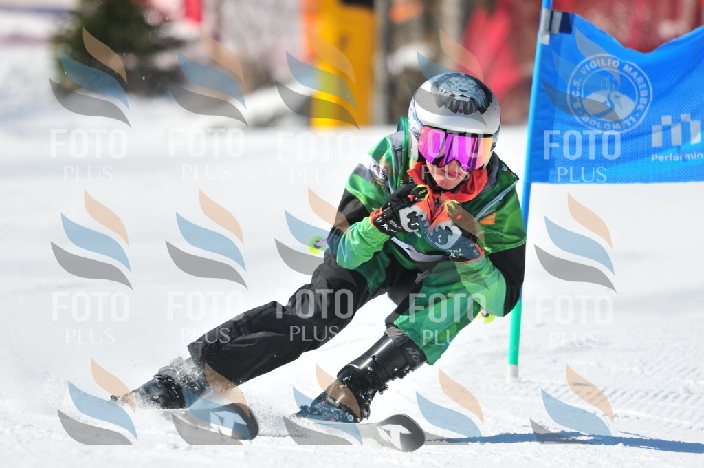 C3602 | holidayphoto