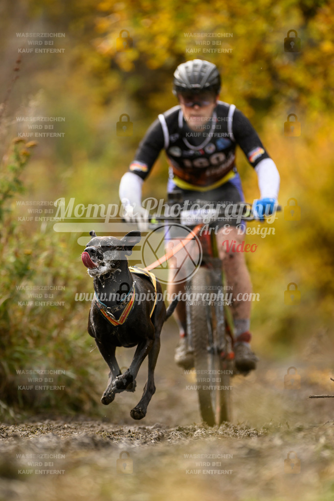 MompixPhotography_ICF_WC_2024_SA_Bike_-201 | PayLife