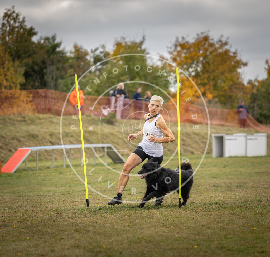 Pfotenfotografie_DV3A6563 | Hundefotografie, Tierfotograf, Pfotenfotografie, Fotoshooting Hund, Hunde Portrait, Hundesport, Hundeportraits, Heideshooting, Hunde, Sportfotograf, Hundefotograf, Turnierhundsport, THS,  - Realisiert mit Pictrs.com