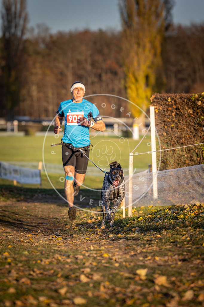 CaniXpix_DV3A4696 | Hundefotografie, Tierfotograf, Pfotenfotografie, Fotoshooting Hund, Hunde Portrait, Hundesport, Hundeportraits, Heideshooting, Hunde, Sportfotograf, Hundefotograf, Turnierhundsport, THS,  - Realisiert mit Pictrs.com