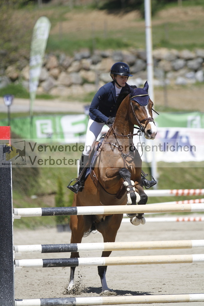 _MG_5684 | equestrian-live-com