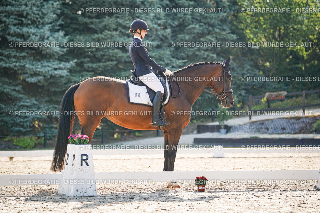 DSC08874 | Pferdegrafie