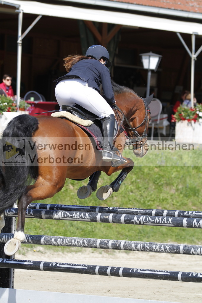 _MG_9183 | equestrian-live-com