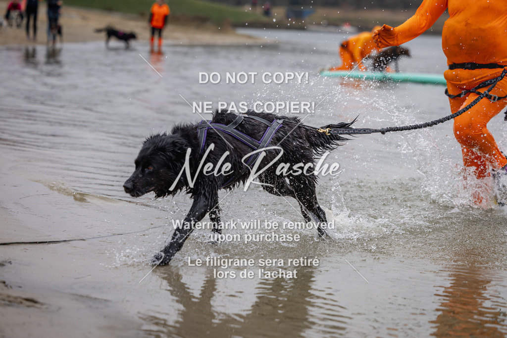 nelerasche_Hulsbeek_Sa1430-1515_256 | nelerasche