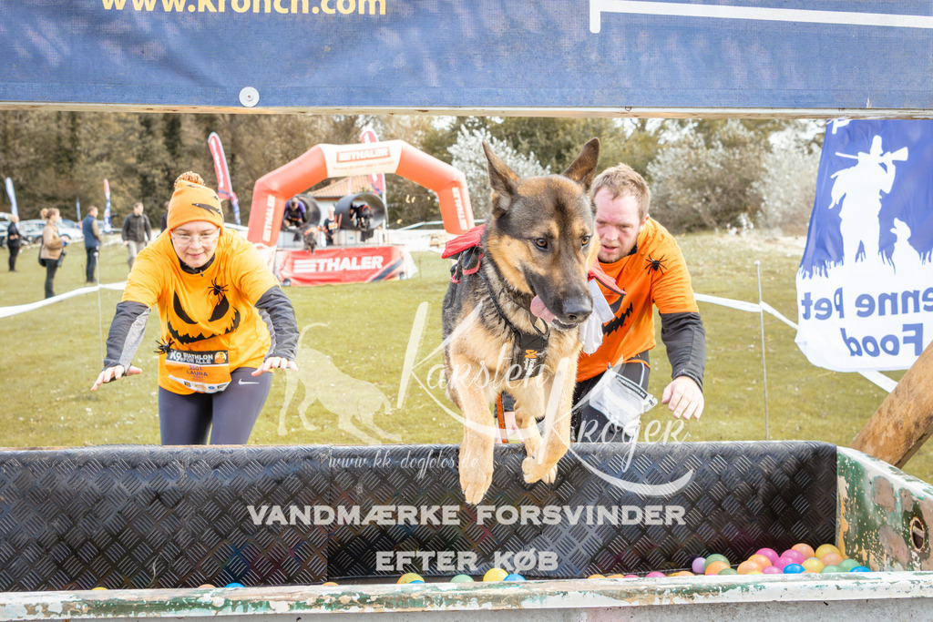 1359_ZZ93213-2 | kk-dogfotos