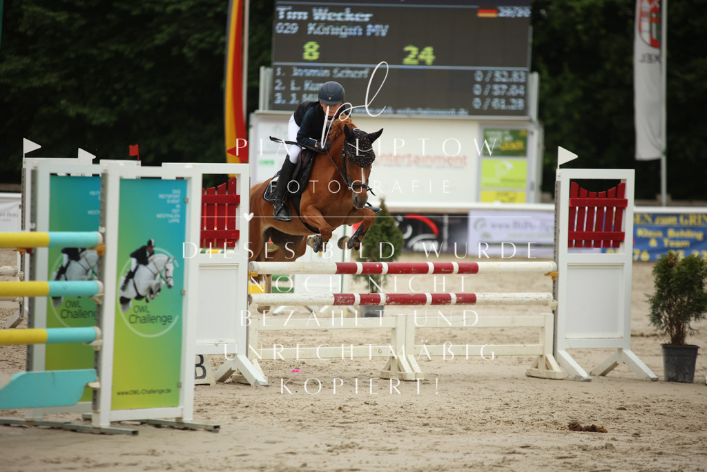 IMGM8806 | pl-fotografie