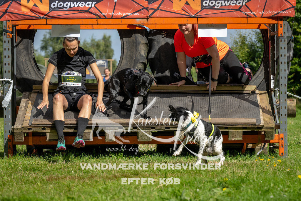 1129_ZZ92238 | kk-dogfotos