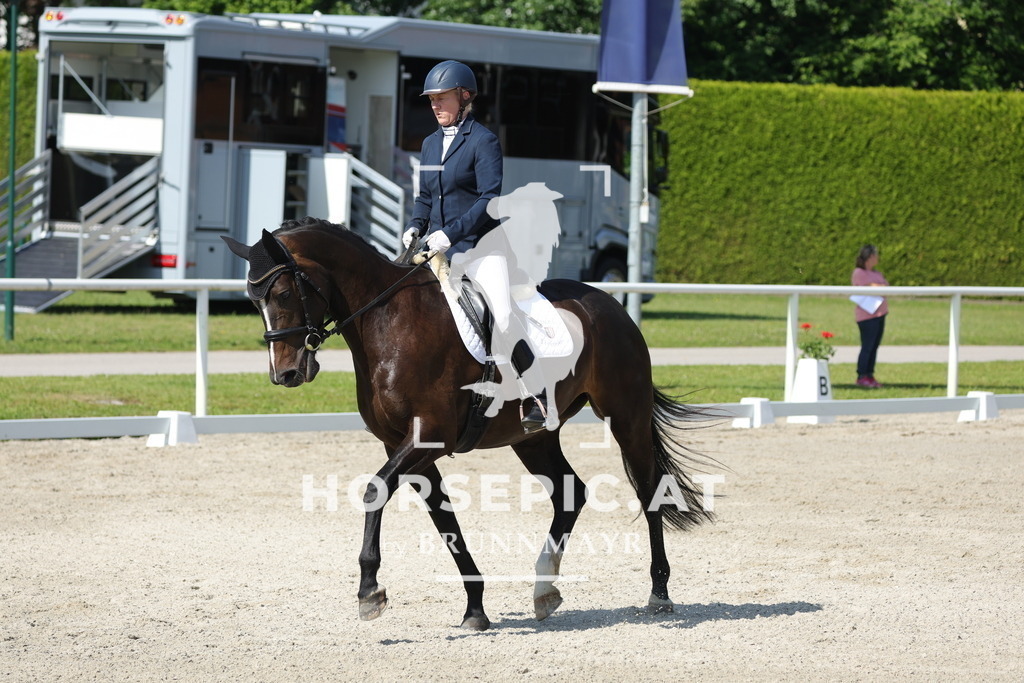 0P6A0365 | Willkommen bei Brunnmayr - Design & Fotografie – Ihrem Spezialisten für Reitturniere und Pferdeveranstaltungen in Oberösterreich, Salzburg und Bayern! Seit über 17 Jahren sind wir leidenschaftlich dabei.