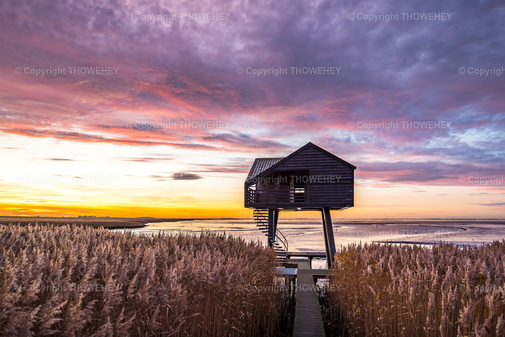 _1015035 | thowehey - Realisiert mit Pictrs.com