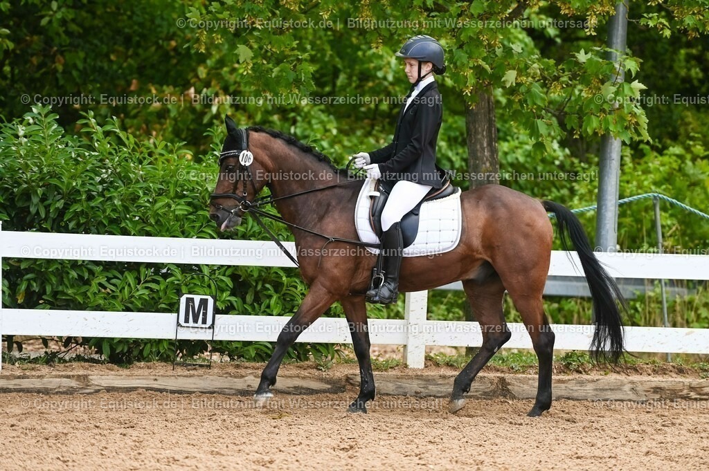 20230716_10-2_Reiter-WB Schritt - Trab - Galopp_0128 | equistock