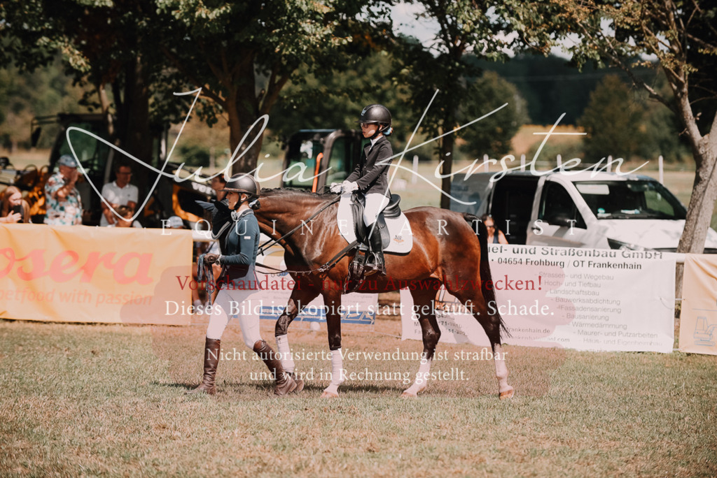 DSC_5970 | Pferde- und Turnierfotografie in Westsachsen. Pferdeportraits, Auftragszeichnungen und intuitive Kunst.