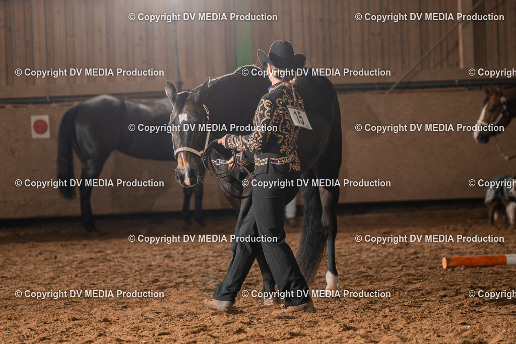 BAL01378 | dv-media-shop - Realisiert mit Pictrs.com