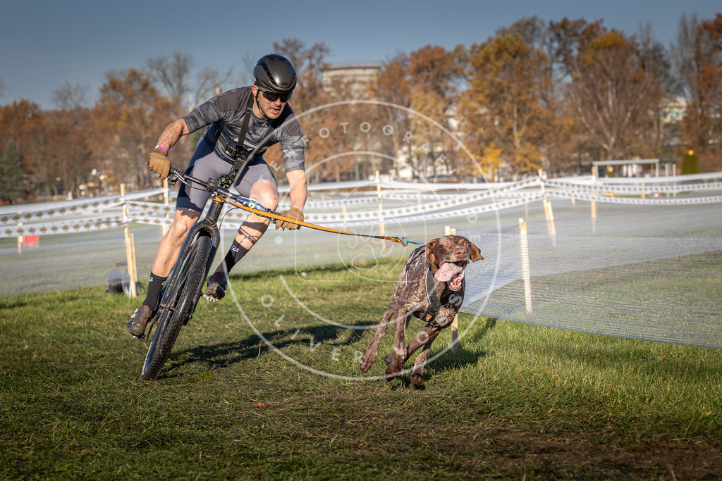 CaniXpix_0L8A4336 | Hundefotografie, Tierfotograf, Pfotenfotografie, Fotoshooting Hund, Hunde Portrait, Hundesport, Hundeportraits, Heideshooting, Hunde, Sportfotograf, Hundefotograf, Turnierhundsport, THS,  - Realisiert mit Pictrs.com