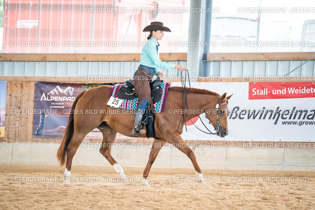 DSC03262 | Pferdegrafie