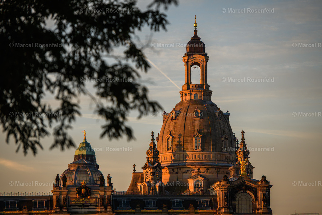 _DSC1412 (1) | foto-rosenfeld