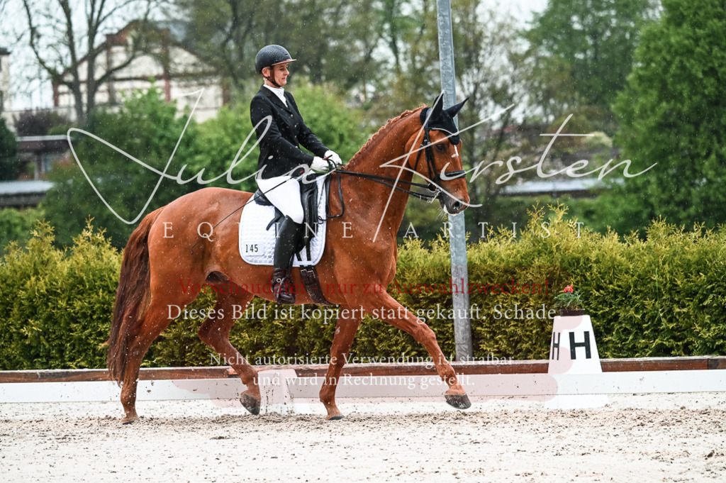 DSC_4430 | Pferde- und Turnierfotografie in Westsachsen. Pferdeportraits, Auftragszeichnungen und intuitive Kunst.