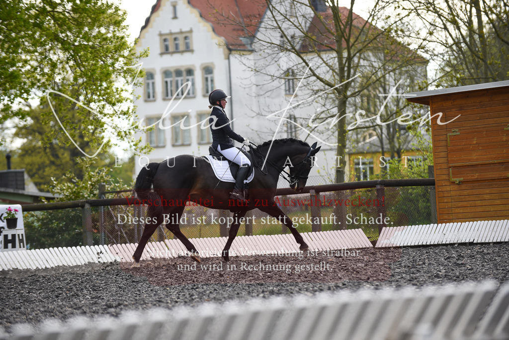 20230513_JK-Röhrsdorf-17-258 | Pferde- und Turnierfotografie in Westsachsen. Pferdeportraits, Auftragszeichnungen und intuitive Kunst.