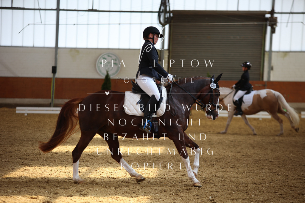 IMGT5223 | pl-fotografie