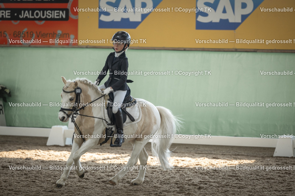 _D5A5702 | Emotionale Pferde- & People-Fotografie rund um Heidelberg, Leimen & Umgebung. Natürliche Fotos von Pferd, Mensch & Familie. Jetzt Termin sichern!