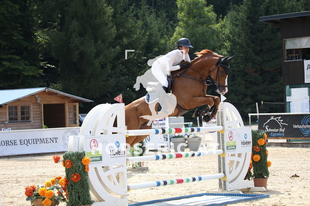 DL2Q4547 | Willkommen bei Brunnmayr - Design & Fotografie – Ihrem Spezialisten für Reitturniere und Pferdeveranstaltungen in Oberösterreich, Salzburg und Bayern! Seit über 17 Jahren sind wir leidenschaftlich dabei.