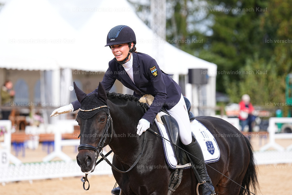 02-173-DRESSUR L_  -Marixx-4836 | working equitationturnier fotograf videograf stoibphotography marixx film working equitation deutschland reitsport turnierfotografie eventfotografie equestrian events