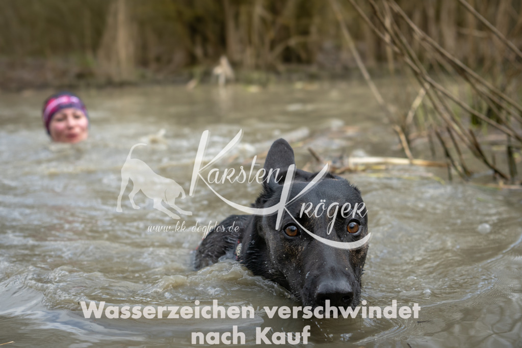 1558_ZZ95164 | kk-dogfotos