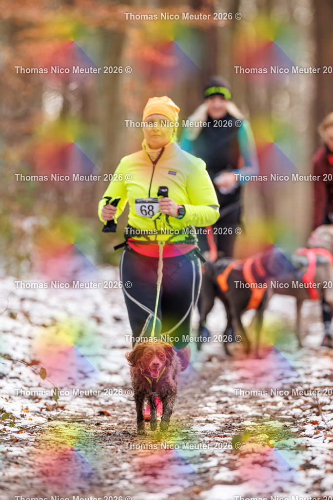 Thomas_Nico_Meuter(C)_223A9128 | Bild von Thomas Nico Meuter - Realisiert mit Pictrs.com