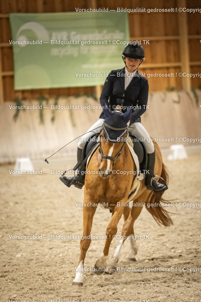 _D5A0782 | Emotionale Pferde- & People-Fotografie rund um Heidelberg, Leimen & Umgebung. Natürliche Fotos von Pferd, Mensch & Familie. Jetzt Termin sichern!