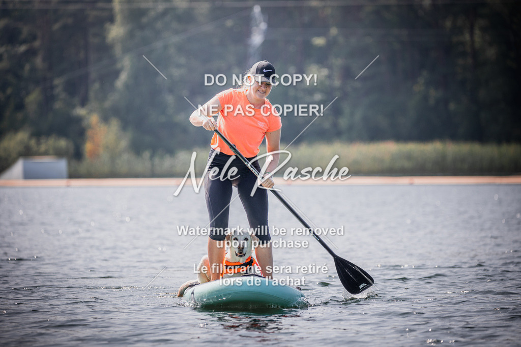 BUHU_SUP_411 | nelerasche