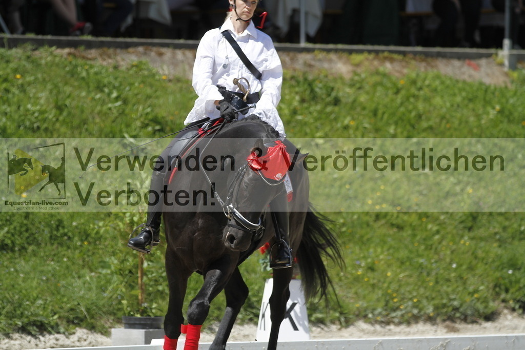 _MG_7352 | equestrian-live-com